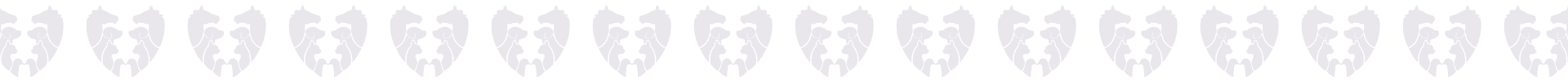 shape border1