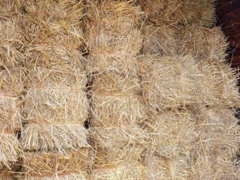 Straw Bale