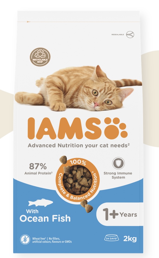Iam’s cat Ocean Fish adult