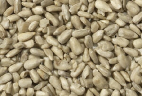 Special Offer Sunflower Hearts 20kg