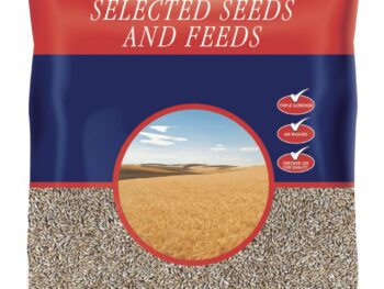 Johnston & Jeff Plain canary seed