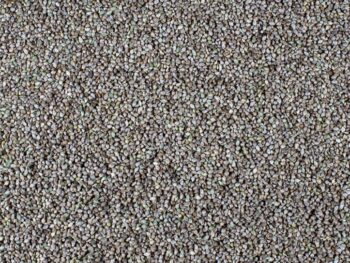 Japanese Millet seed 20kg