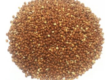 Red Millet seed 20kg