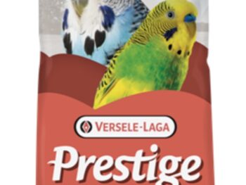 Verse-laga BUDGIE ENGLISH seed MIXTURE 50/50