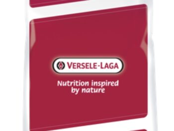 Versele-Laga Plain Canary Seed 25kg