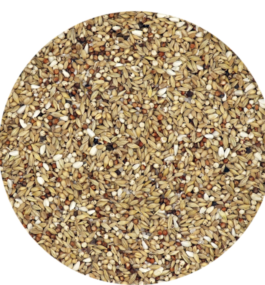 Versele-laga Depurative 25kg - Image 2