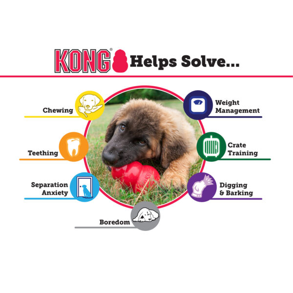KONG Extreme Medium Black - Image 2