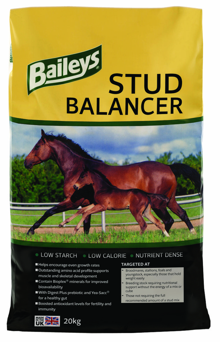 baileys stud balancer horse feed