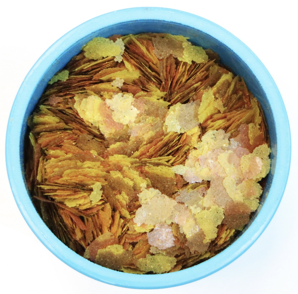 Aquarium Goldfish & Coldwater Flake Food 50g - Image 2