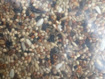 Aviary Mix 20kg