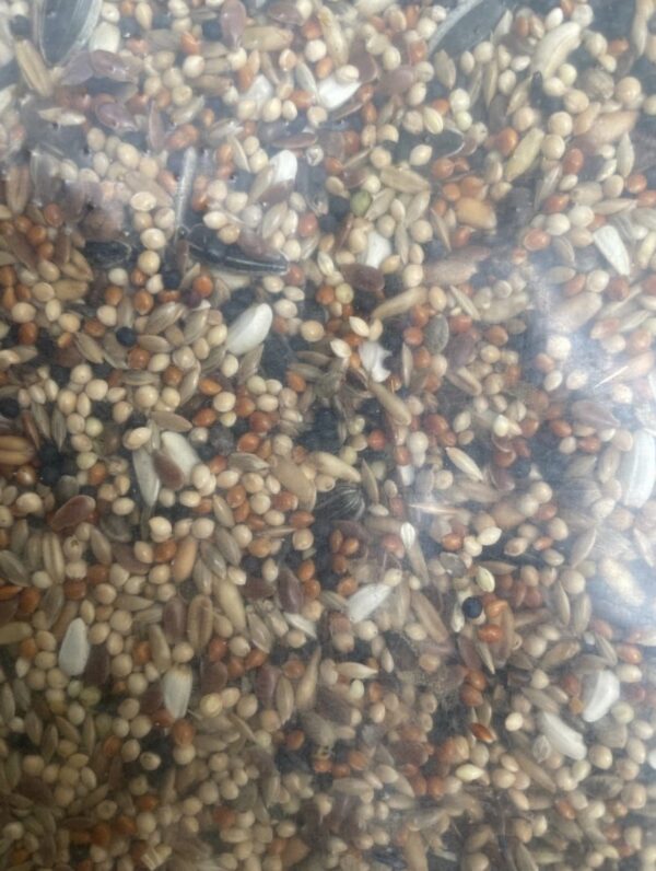 Aviary Mix 20kg