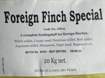 Foreign Finch Special