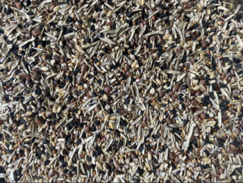 Versele - Laga Wild Seed ( Canary Condition Seed )