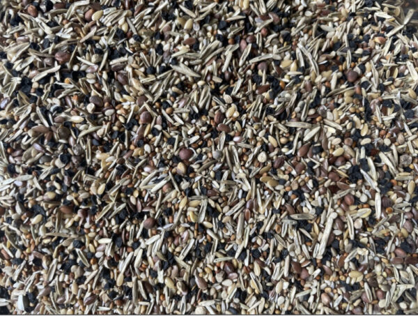 Versele - Laga Wild Seed ( Canary Condition Seed )
