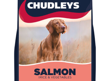 Chudleys Salmon with Rice & Vegetables Complete Dog Food 14kg