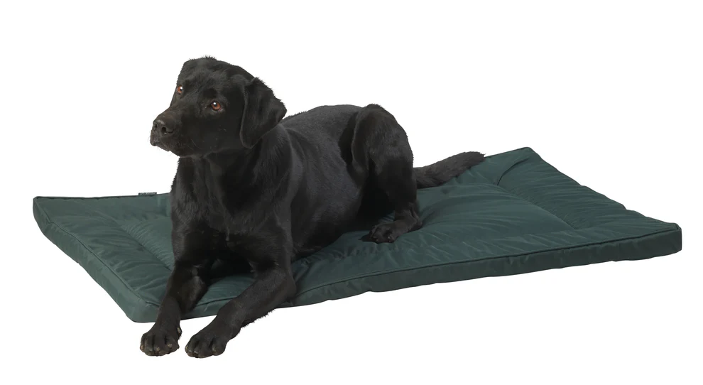 House of Paws Green Water Resistant Mat XL - Image 2