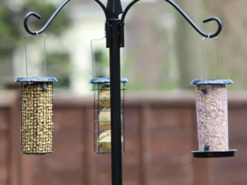 Copdock Mill Wild Bird Complete Dining Station With 3 Feeders