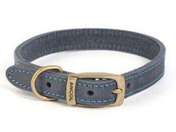 Ancol Timberwolf Leather Collar Blue
