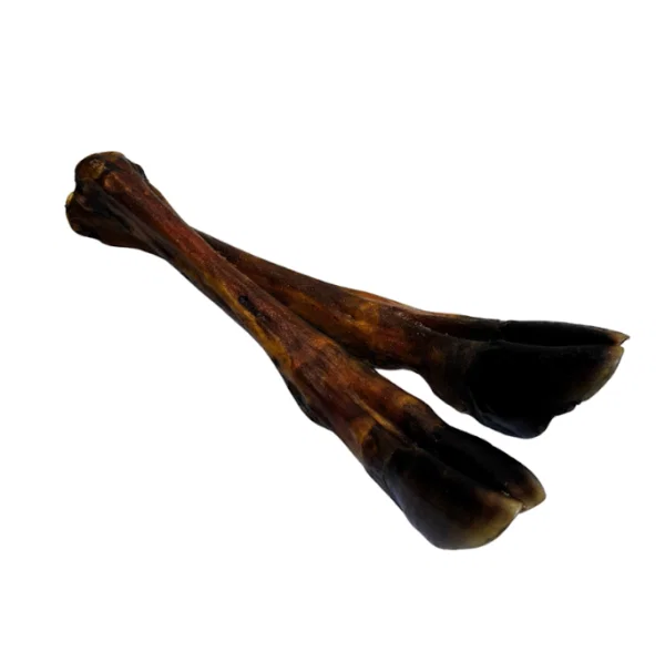 Natural Deer Leg