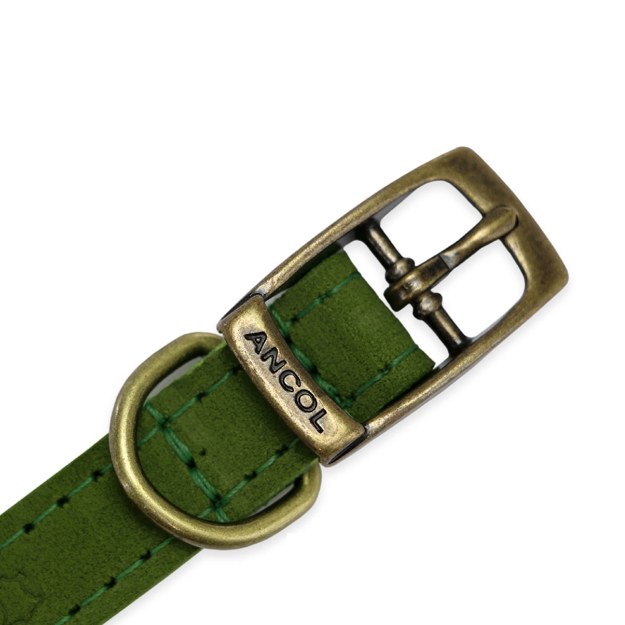 Ancol Timberwolf Leather Dog Collar Green - Image 2