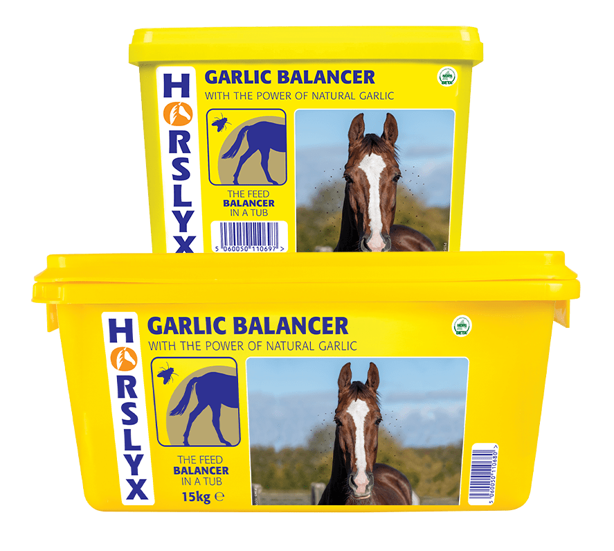 Horslyx Garlic Horse Lick